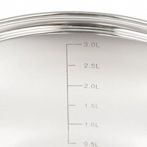 Кастрюля нержавеющая сталь, 3.9 л, с крышкой, крышка стекло, Daniks, Стандарт-PR, SD-20-2, индукция