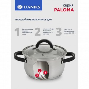 Набор посуды нержавеющая сталь, 12 предметов, кастрюли 1.6,2.3,3.2,5.6, ковш 1.6, сковорода 24см, индукция, Daniks, Paloma, CW-H027
