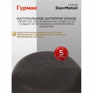 Жаровня чугун, 28 см, с двумя ручками, Гурман, DavrMetall, индукция
