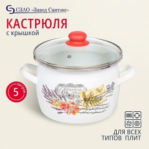 Кастрюля эмалированная сталь, 5 л, крышка стекло, сферический, Сантэкс, Прованс, 1-2450112, индукция