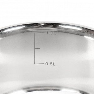 Кастрюля нержавеющая сталь, 1 л, крышка стекло, Daniks, GS-01311-14CA/SD-514, индукция