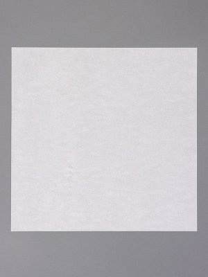 Бумага пергаментная для выпечки, фаст фуда, белая, в листах 25x25 см