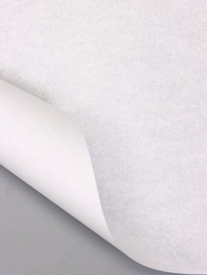 Бумага пергаментная для выпечки, фаст фуда, белая, в листах 20x30 см