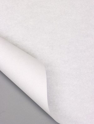 Бумага пергаментная для выпечки, фаст фуда, белая, в листах 25x25 см