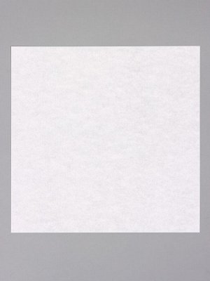 Бумага пергаментная для выпечки, фаст фуда, белая, в листах 18x18 см