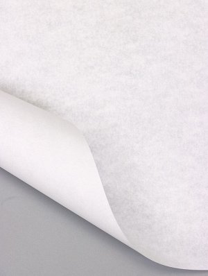 Бумага пергаментная для выпечки, фаст фуда, белая, в листах 18x18 см