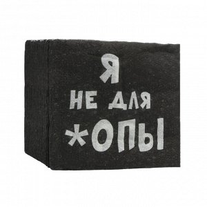 Салфетки бумажные однослойные «Я не для *опы», 24 х 24, 100 шт.
