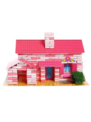 Конструктор из кирпичиков «Домик», 309 деталей, 5+