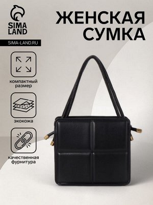 Сумка женская на молнии, цвет чёрный