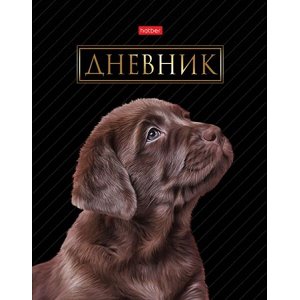 Дневник 1-11 класс (твердая обложка) "Портрет лучшего друга" (078765) 28462 Хатбер