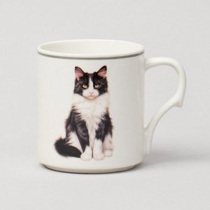 Кружка фарфор, 4 шт, 368 мл, Meow, Lefard, 153-946, метал подставка