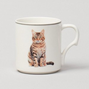 Кружка фарфор, 4 шт, 368 мл, Meow, Lefard, 153-946, метал подставка