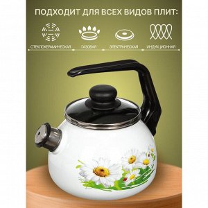 Чайник сталь, эмалированное покрытие, 2 л, со свистком, ручка консольная, СтальЭмаль, Ромашки лето, индукция, 4с210я