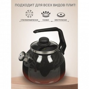 Чайник сталь, эмалированное покрытие, 3 л, со свистком, ручка консольная, СтальЭмаль, Кармен, 4с209я
