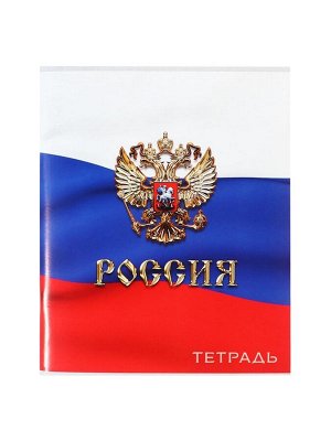 Тетрадь 96 листов в клетку, Calligrata «Россия», серые листы, МИКС