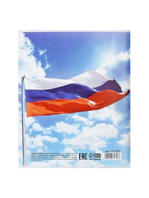 Тетрадь 96 листов в клетку, Calligrata «Россия», серые листы, МИКС