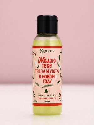 Гель для душа «Тепла и уюта!», 100 мл, аромат пряного цитруса, Чистое счастье