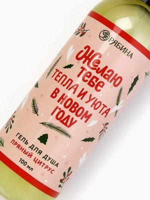 Гель для душа «Тепла и уюта!», 100 мл, аромат пряного цитруса, Чистое счастье
