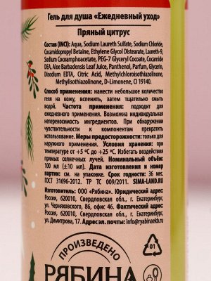Гель для душа «Тепла и уюта!», 100 мл, аромат пряного цитруса, Чистое счастье