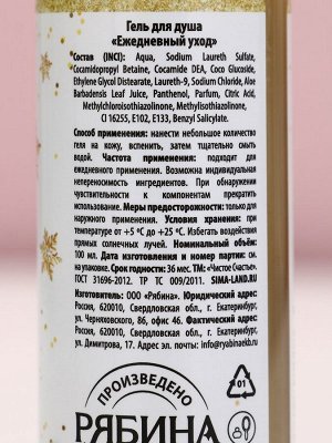 Гель для душа «Верь в мечту!», 100 мл, аромат зимней ванили, Чистое счастье