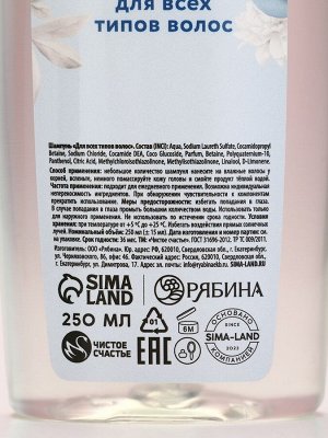 Подарочный набор «Уютной зимы»: гель для душа и шампунь для волос, 2x250 мл, Чистое счастье