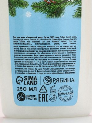 Подарочный набор «Сказочного праздника»: гель для душа и шампунь для волос, 2x250 мл, Чистое счастье