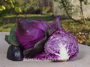 Капуста краснокочанная Калибос