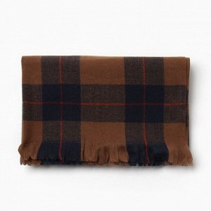 Шарф зимний с кистями MINAKU 65*180 + 3 см клетка