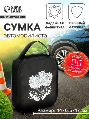 Сумка автомобилиста «Не парься», 14x6.5x17 см, чёрный
