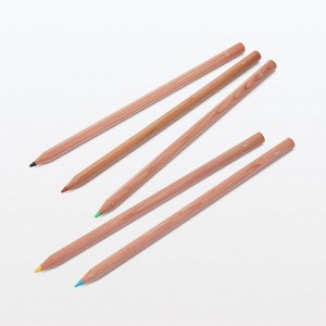 MUJI Color Pencils - цветные карандаши в бумажном тубусе (стандартная длина)
