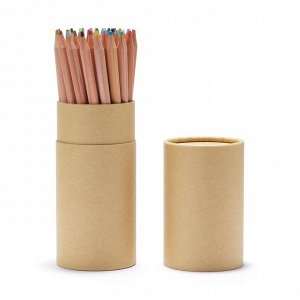 MUJI Color Pencils - цветные карандаши в бумажном тубусе (стандартная длина)