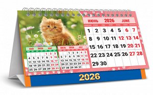 БОЛЬШОЙ настольный перекидной календарь-домик на 2026 год "Милые котята"