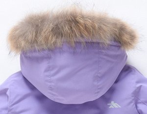 Парка зимняя