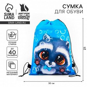 Мешок для обуви
