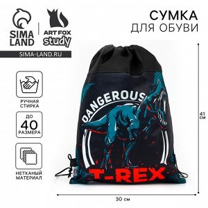 Мешок для обуви «T-REX динозавр» (нетканый материал) 41x30 см