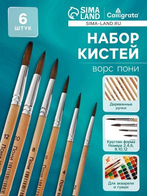 Набор кистей пони 6 штук (круглые:№ 2, 4, 6, 8, 10, 12), с деревянными ручками, на блистере