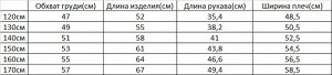Лонгслив для мальчика с принтом
