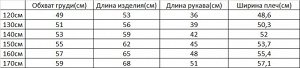 Свитшот для мальчика с принтом