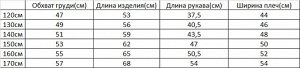 Свитшот для мальчика с принтом