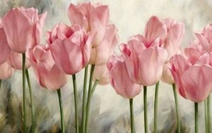 "Розовые тюльпаны"