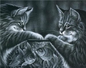 "Кошки и рыбки"