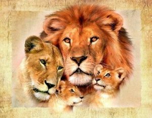 "Львиная семья"