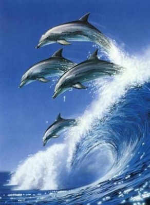 "Резвящиеся дельфины"