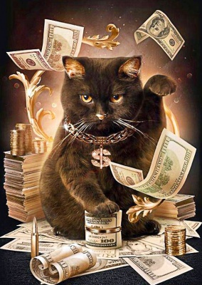 "Черный кот и доллары"