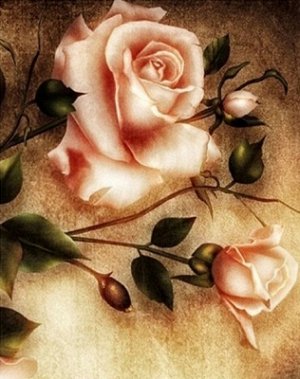 "Нежные розы"