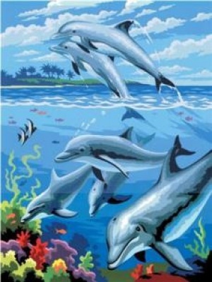 "Восхитительные дельфины"