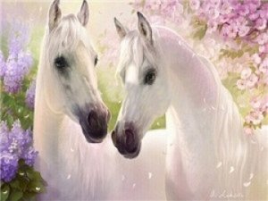 "Сказочные лошади"