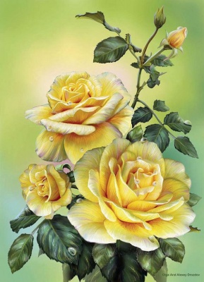 "Желтые розы на рассвете"