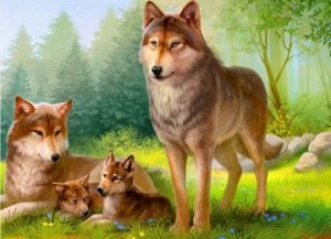 "Волчье семейство"