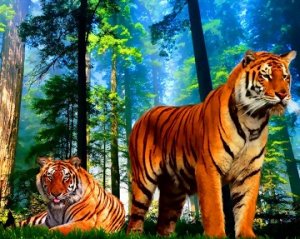 "Два тигра"